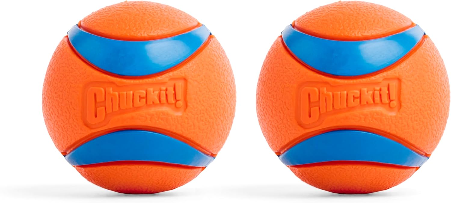 Chuckit! Ultra Ball — Medium 2.5 inch, orange/blue, 2-pack