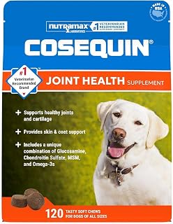 Nutramax Cosequin Joint Supplement for Dogs, Skin & Coat, Soft Chews,120ct