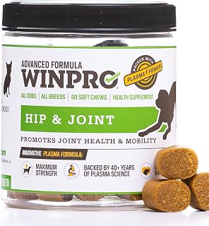 WINPRO Hip & Joint Supplement for Dogs - Plasma Powered Soft Chews for Joint Health & Mobility