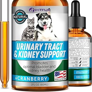 UTI and Kidney