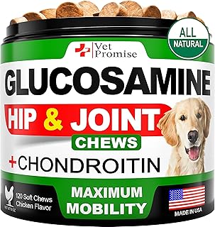 Glucosamine for Dogs - Hip and Joint Supplement for Dogs, Chondroitin & MSM