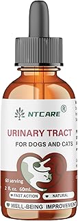 Urinary Tract