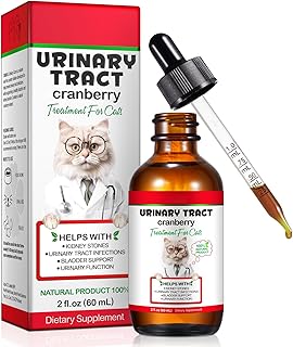 Cat UTI Treatment, Cat Urinary Tract Infection Treatment