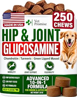 Glucosamine Hip & Joint Supplement for Dogs - 250 Chews with Chondroitin